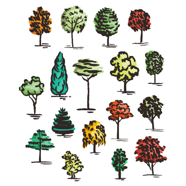 一套手绘彩色树。墨水的风格。图片下载