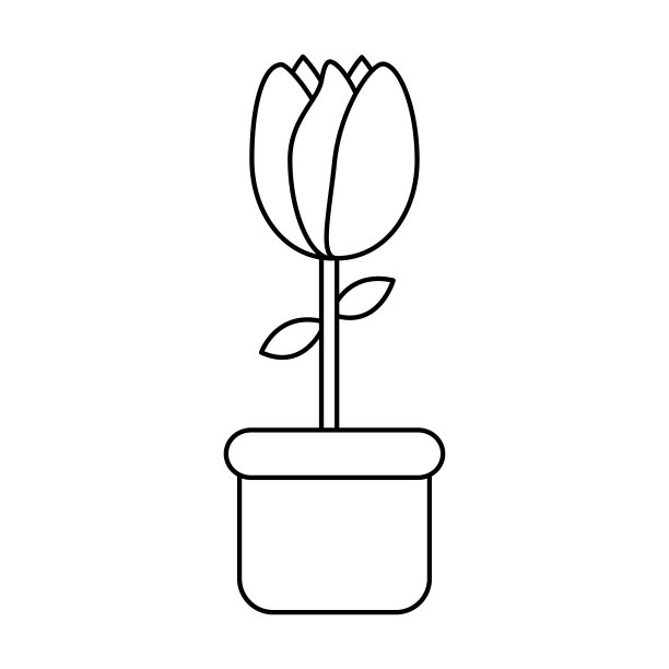 盆栽郁金香花装饰点缀图片下载