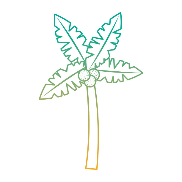 天然热带椰子树图片下载