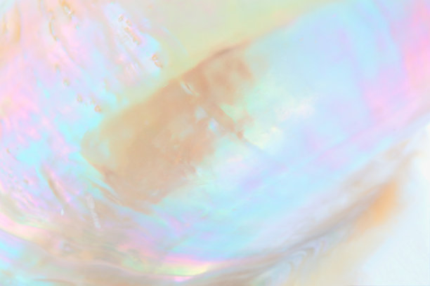 珠蚌蚌的近景素材图片