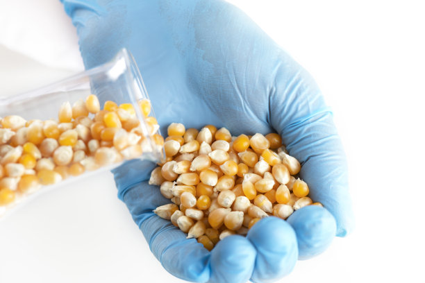 转基因生物图片下载