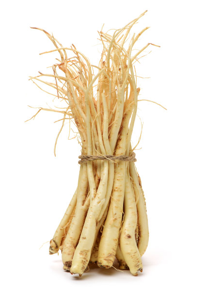 桔梗:韩国风铃花(桔梗)的根，俗称多拉戟，孤立于白色背景上。在韩国流行的蔬菜，也用于中药图片下载