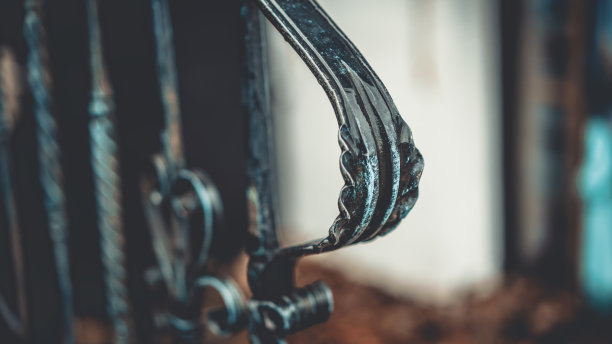 的照片图片下载