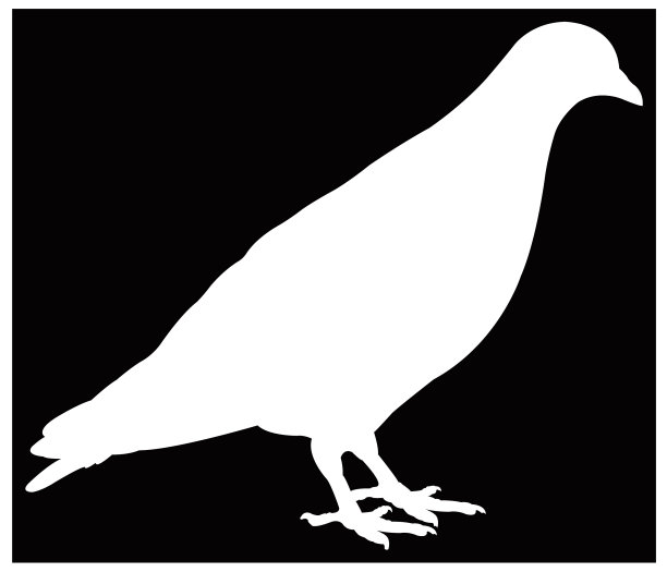 鸽子轮廓图片下载