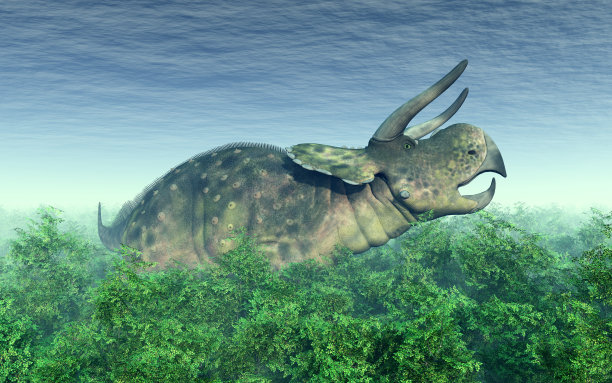 森林里的鼻角龙图片下载