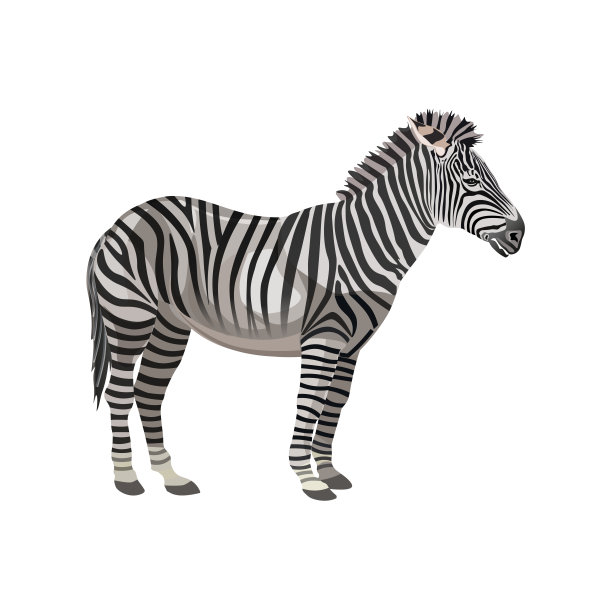 斑马站向量图片下载