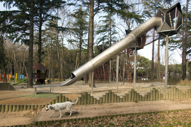 在伊斯坦布尔美丽的公园里，一个操场，一个滑块和一只狗在玩耍图片下载
