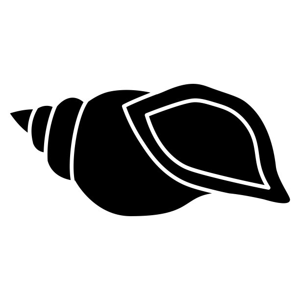 海贝壳孤立在白色的背景图片下载