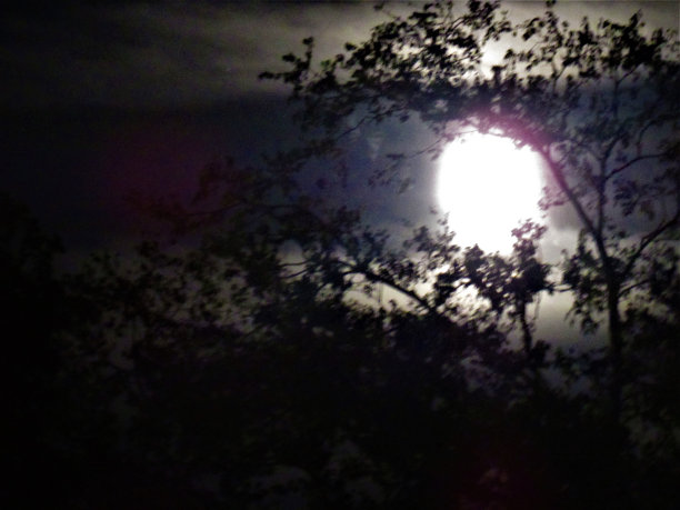 可怕的月亮图片下载