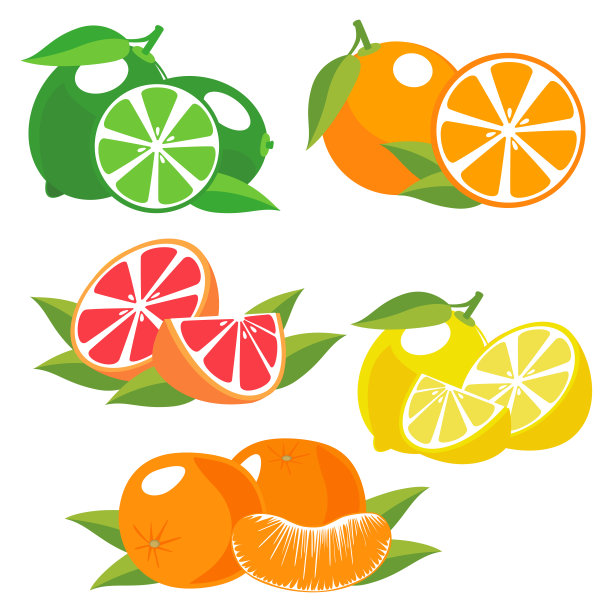 可爱的橙子和柠檬图片下载