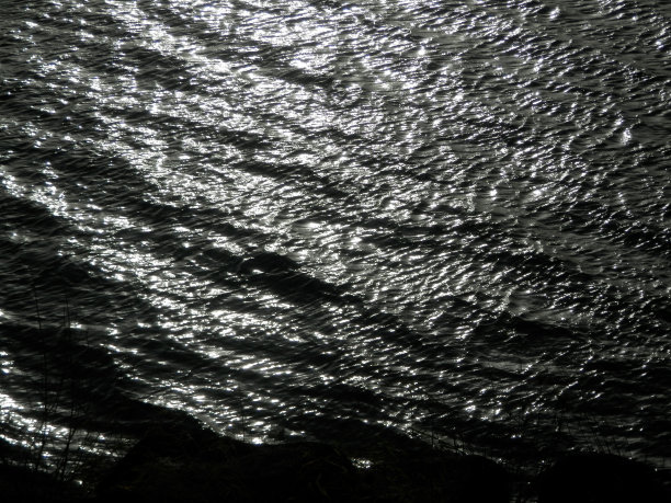 冬季黑暗水中的太阳反射图片下载