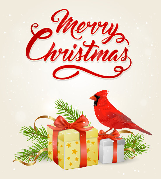 红雀和礼物图片下载