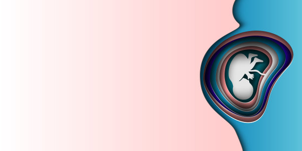 子宫中的胚胎。旗帜的设计理念。纸艺工艺风格。图片下载