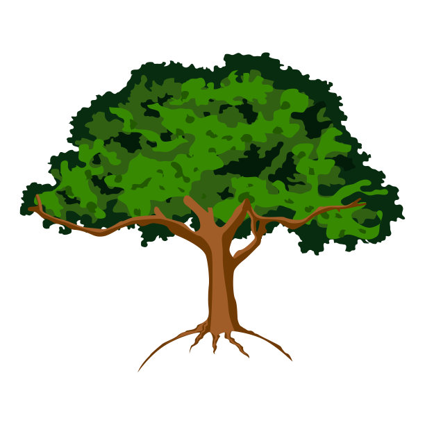 孤立的绿色的树图片下载