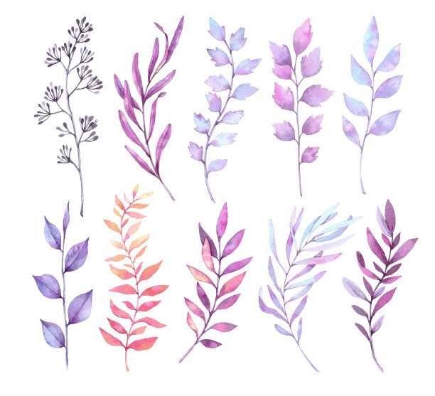 花卉插画素材ID：303658038