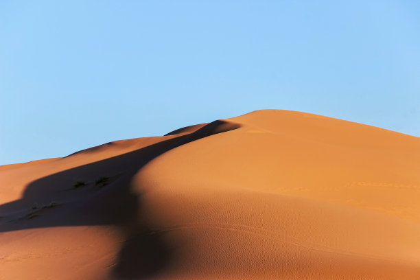 撒哈拉沙漠中的金色沙丘图片下载