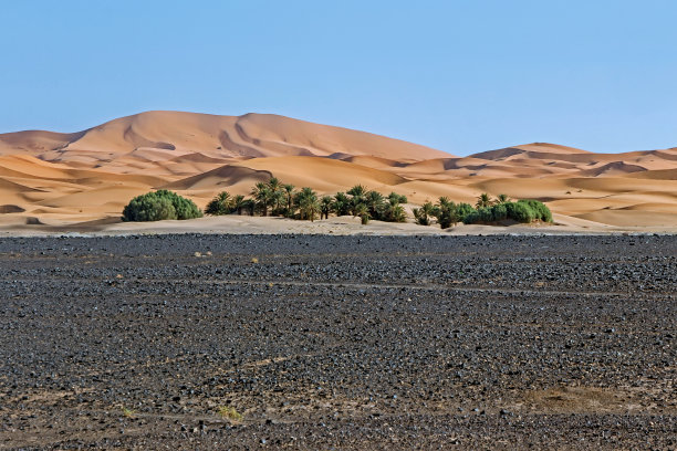 通往撒哈拉沙漠的空旷道路图片下载