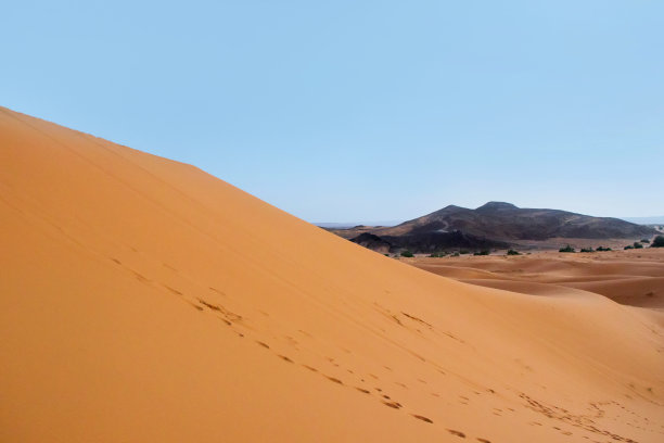 撒哈拉沙漠中的金色沙丘图片下载