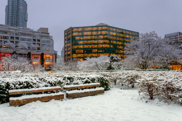 冬天的城市景观，灌木和树木覆盖着雪和摩天大楼发光的窗户图片下载