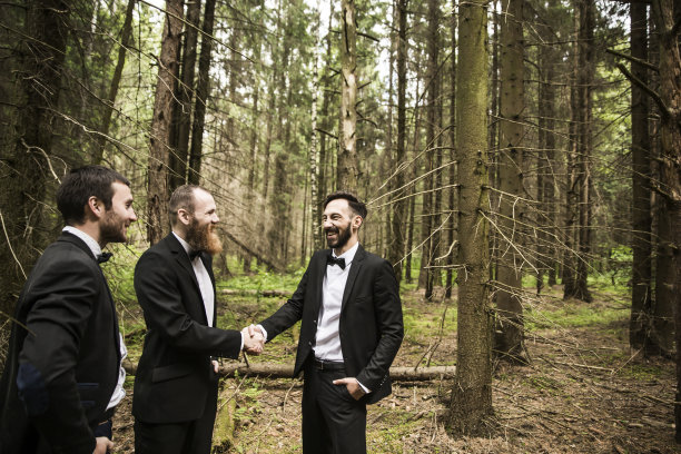 握手的商业伙伴的背景自然图片下载