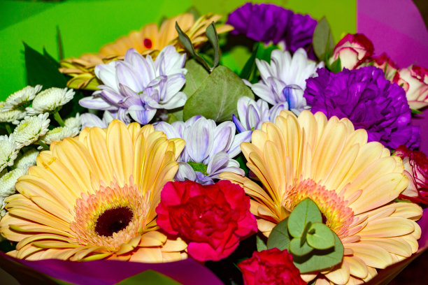 美丽的各色花束图片下载