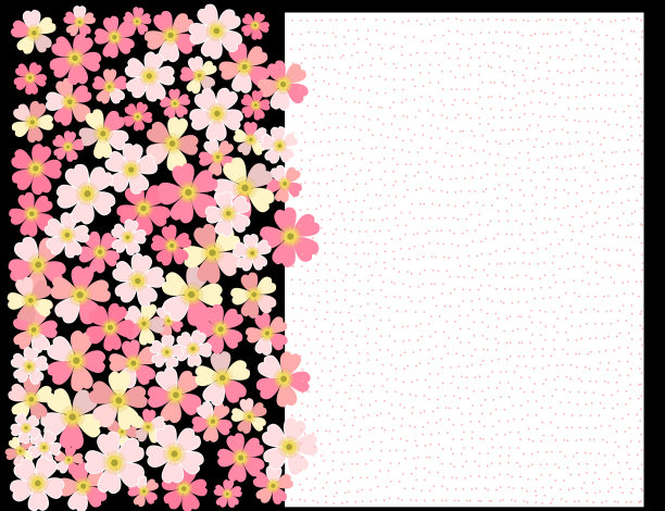 一个浪漫的花背景。花。日本的雏菊图片下载