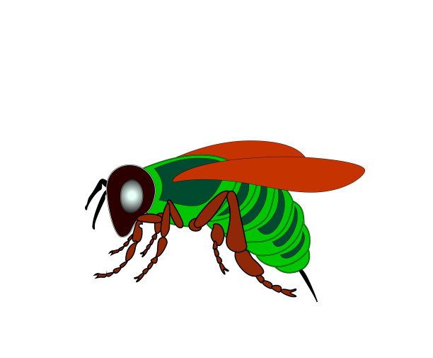 卡通苍蝇，色彩鲜艳的昆虫。家蝇体积图片下载