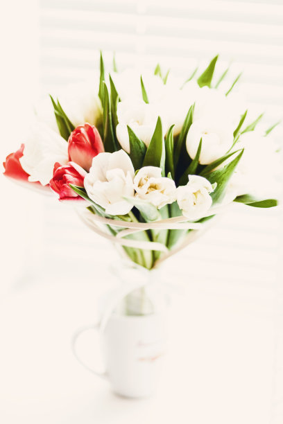 明亮的白色窗户背景上有一束郁金香图片下载