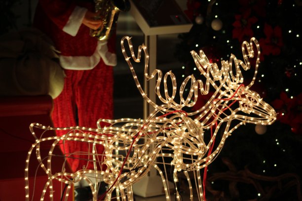 圣诞树照明图片下载