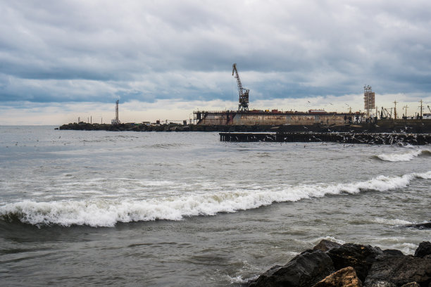 格鲁吉亚波蒂黑海上的海鸥图片下载