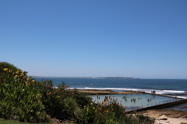 雪莉海滩和海洋游泳池在克罗努拉，澳大利亚悉尼图片下载