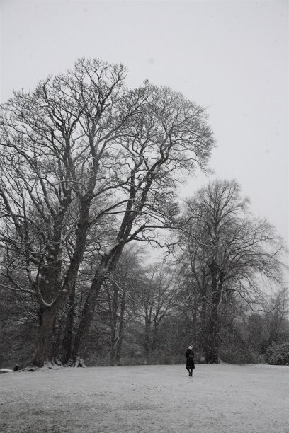 在白雪覆盖的公园里散步的女人图片下载