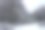 冬天的林地，白雪覆盖的树木和地面图片下载