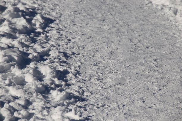 冬天雪地上的脚印图片下载