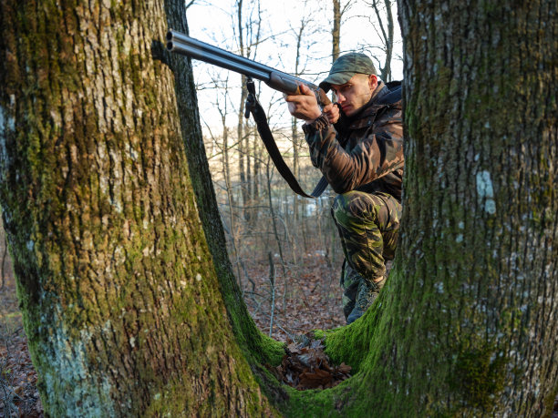 猎人的猎枪图片下载