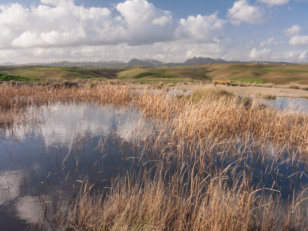 绿色的山丘，一个被芦苇环绕的湖，云倒映在水中图片下载