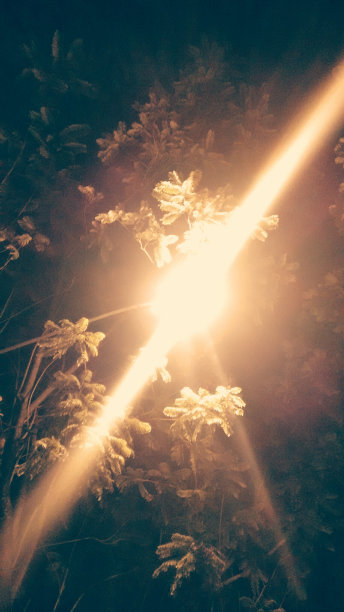 光反射图片下载