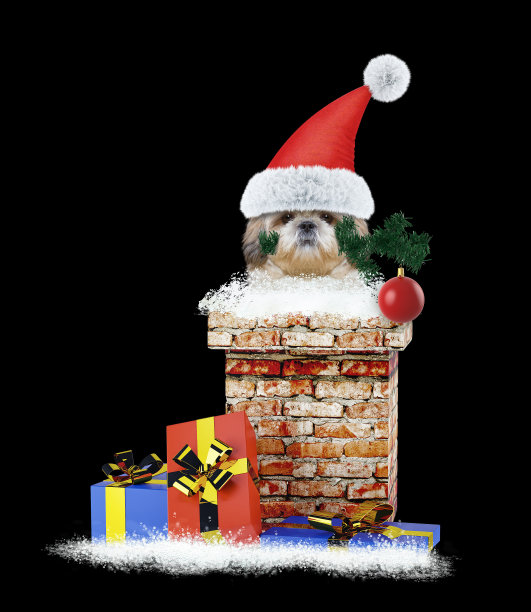 圣诞狗狗带着圣诞树和球从烟囱里爬出来。孤立在黑色图片下载