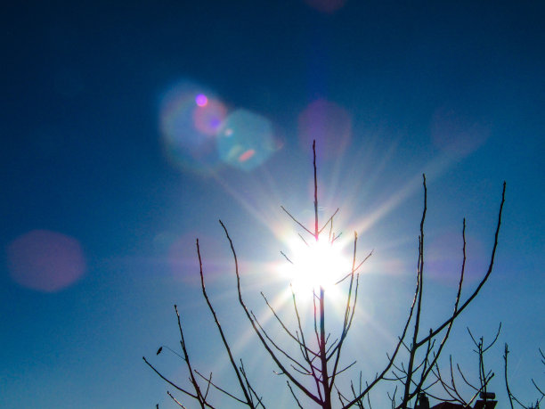 太阳在树后制造美丽的颜色图片下载