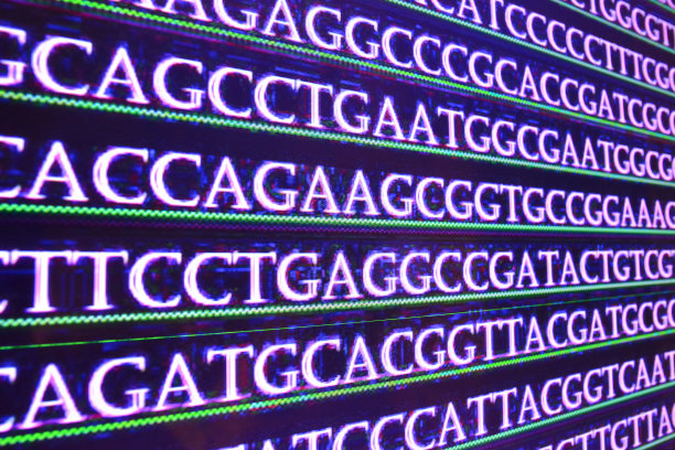 DNA序列图片下载