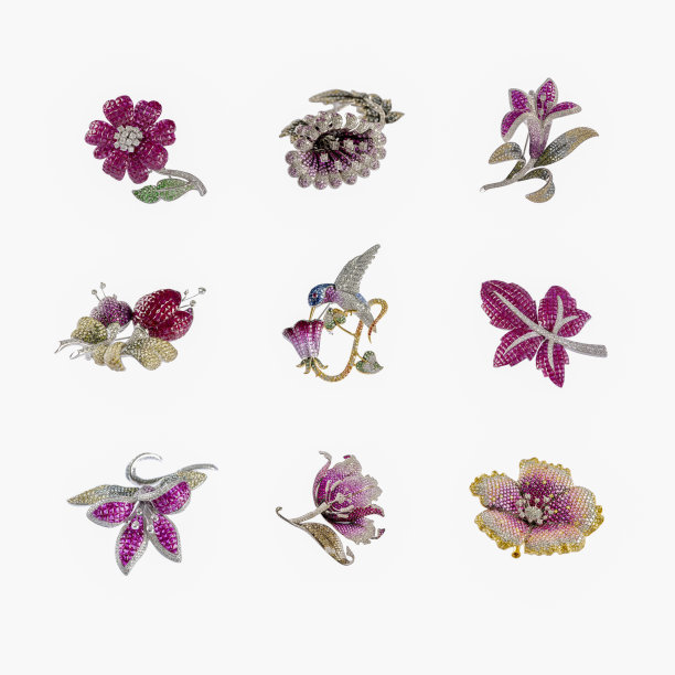 收集蝴蝶，叶子和花胸针在白色的背景图片下载