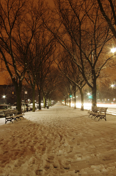 冬天的布鲁克林公园大道图片下载