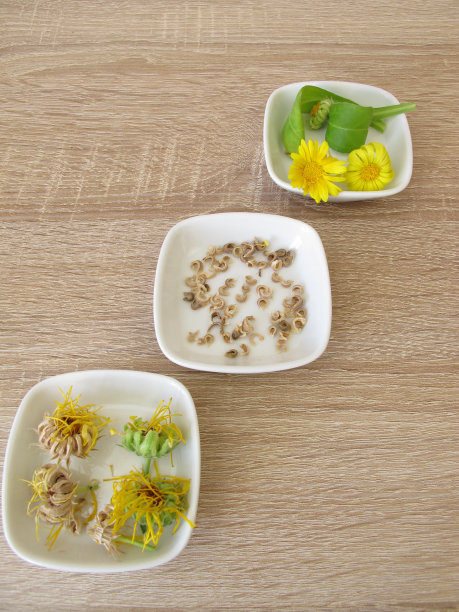 万寿菊的种子图片下载