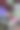 绿化、庆典、装饰理念。尽管有玫瑰、百合花、银莲花、竹杯等多种花卉，但婚礼花束看起来却很美妙、和谐图片下载