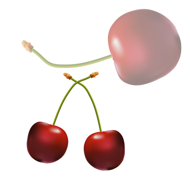 茎上有红色多汁的樱桃。美味的水果甜点。樱桃。图片下载