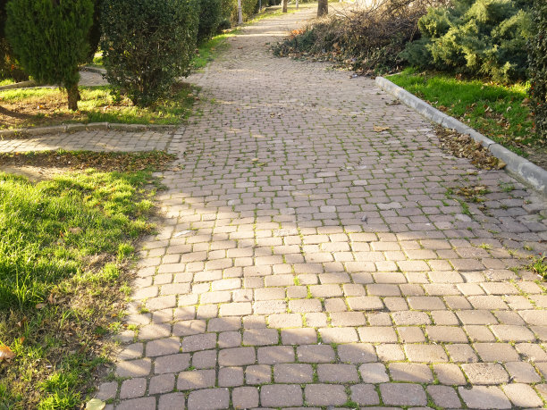 秋天或春天公园。图片下载