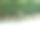 栅栏后花园里的牛头犬(意大利，欧洲)图片下载