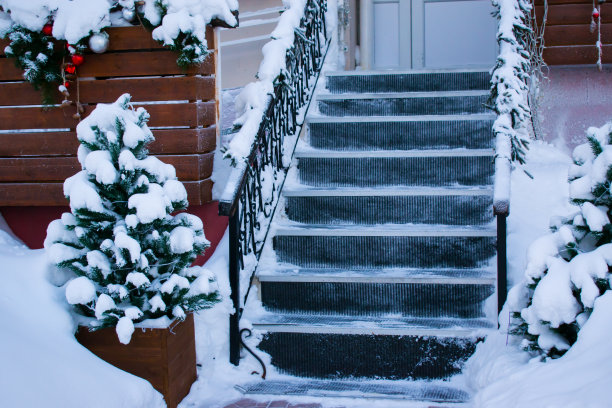 圣诞节的街道景观图片下载