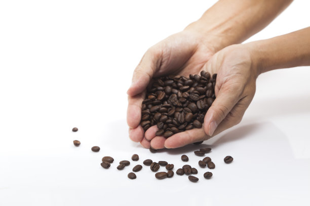 手掌上的咖啡豆。图片下载