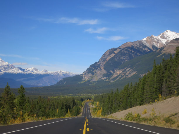 罗彻斯的航线图片下载